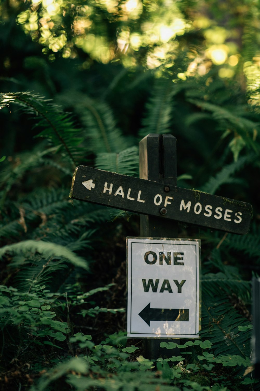 black and white wooden signage