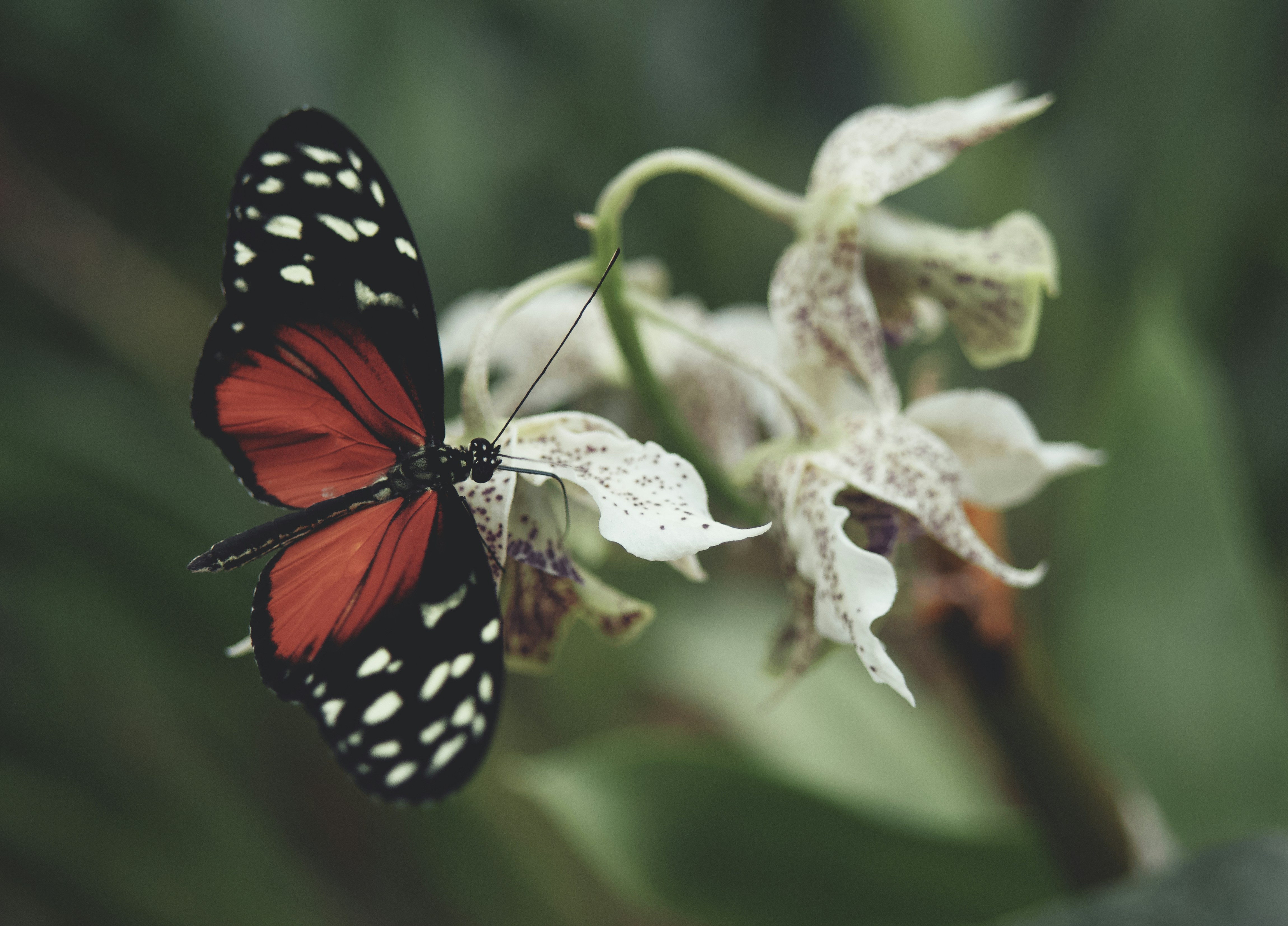 Photo by aaronburden