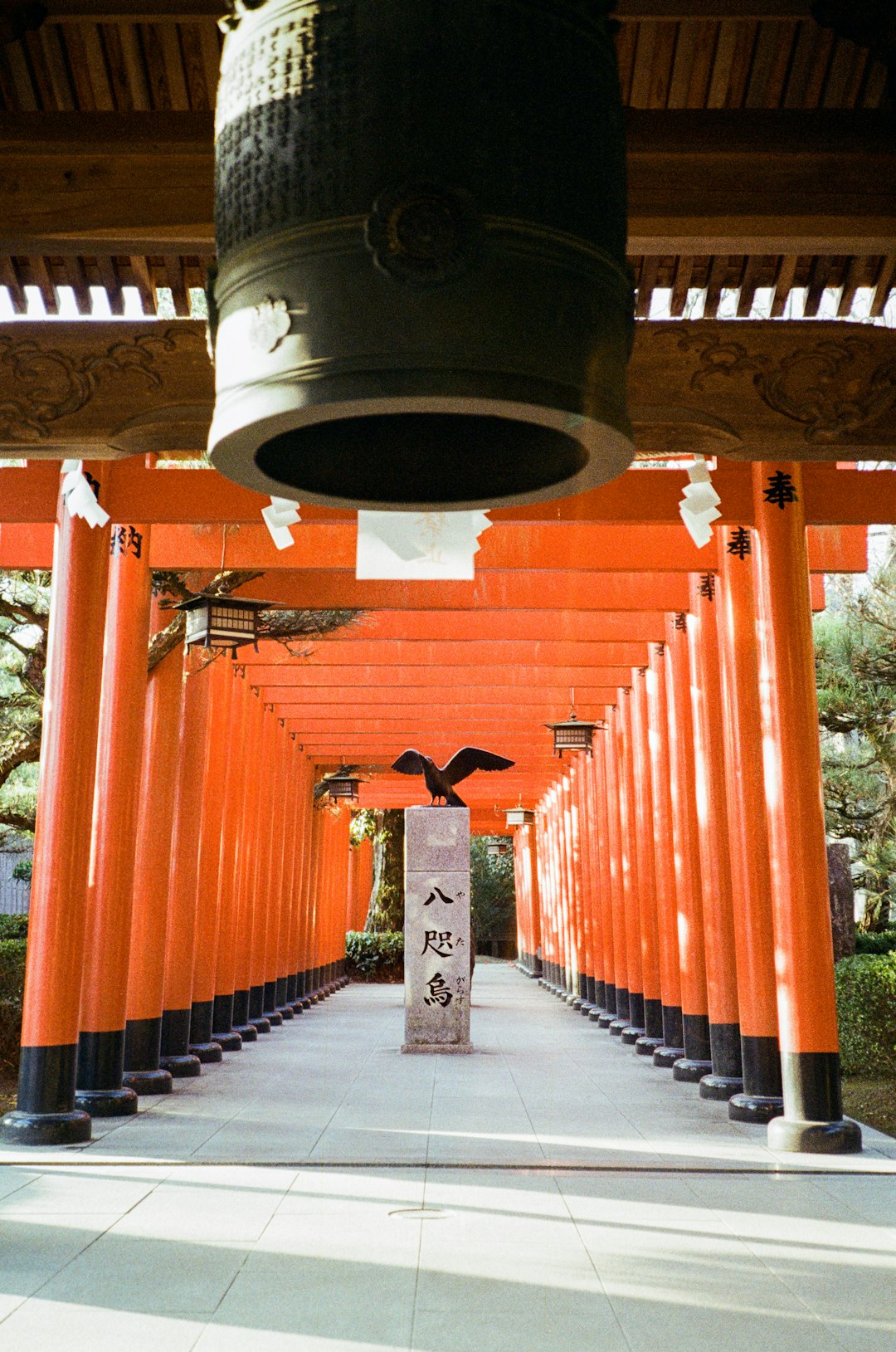 black and brown bell on orange wooden wall