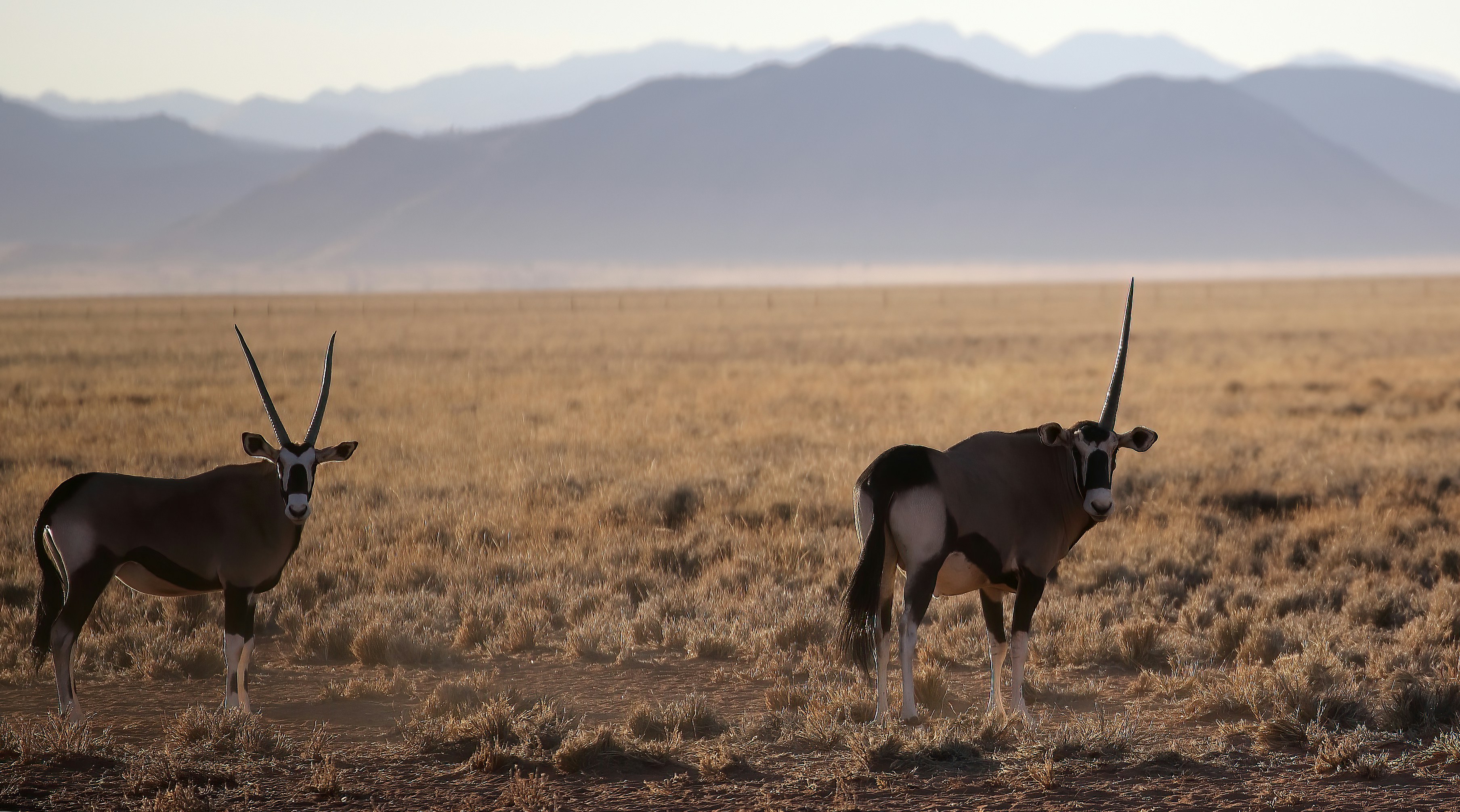 The Role of Cultural Mythology in Scientific Interpretation (image credits: unsplash)