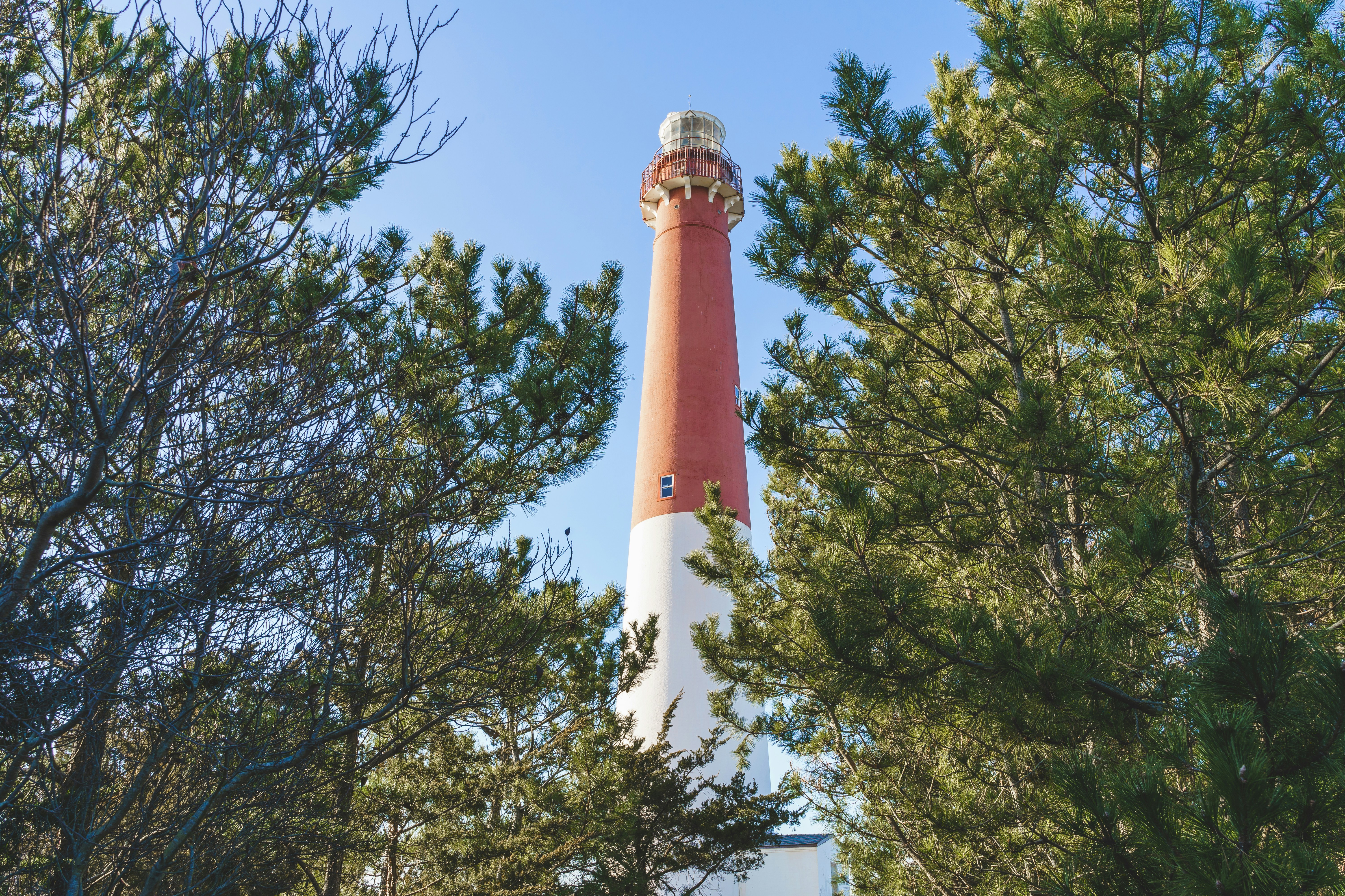 farol vermelho e branco perto de árvores verdes durante o dia