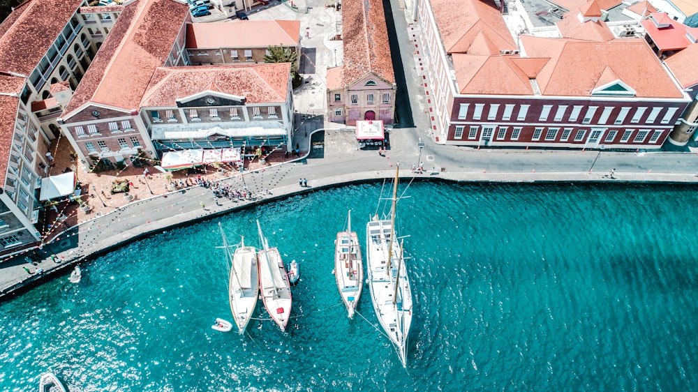 white and blue boat on water near brown concrete building during daytime