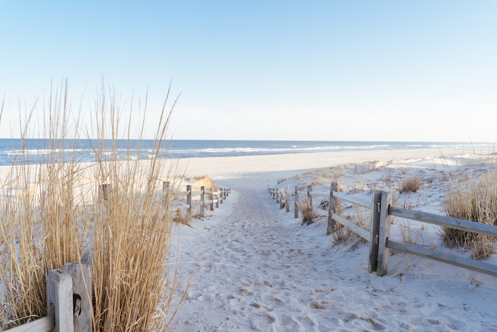 brown wooden fence on white sand beach during daytime
