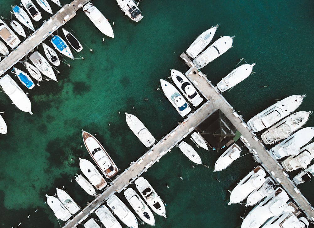 aerial view of white boats on sea during daytime