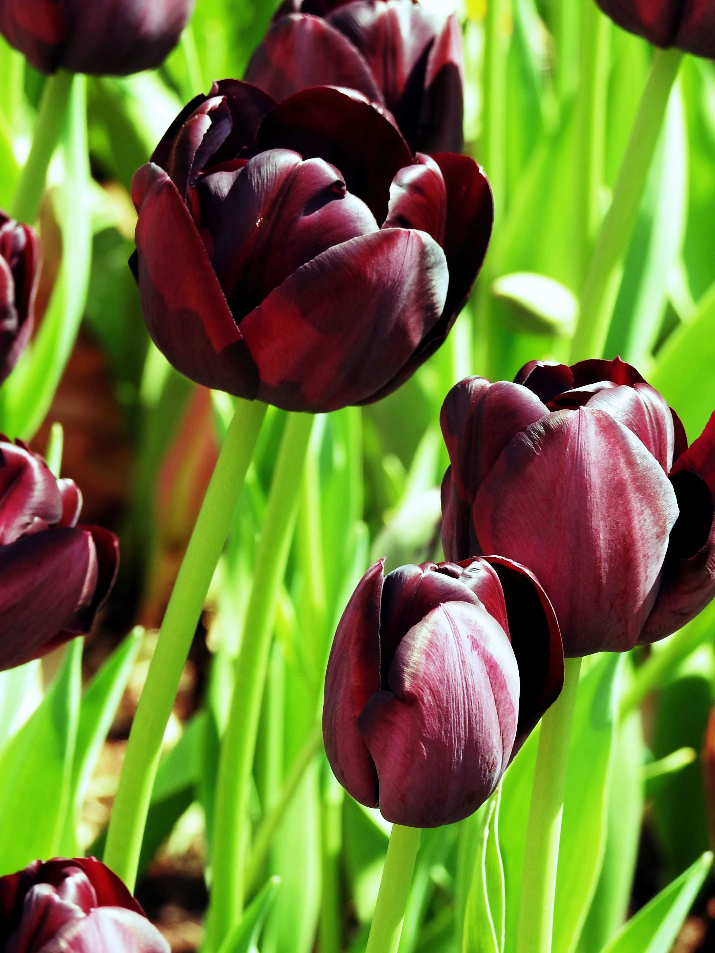 Photo by carolineashleyartist