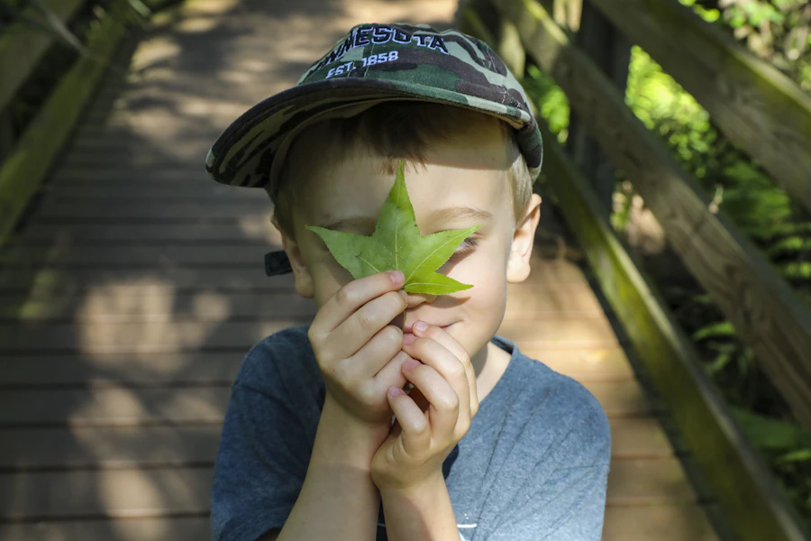 A boy holding a fallen leaf up to the light