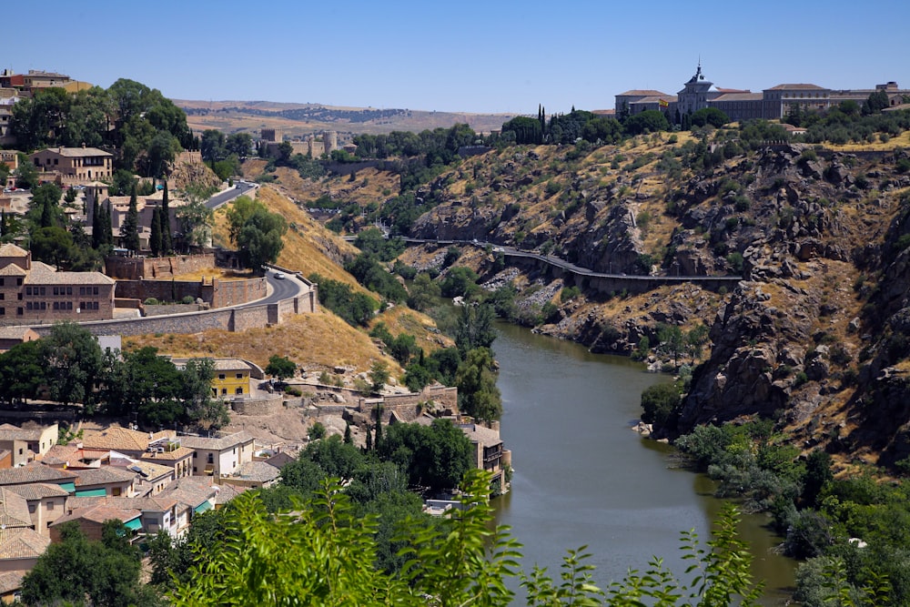 aerial view of green trees and river during daytime