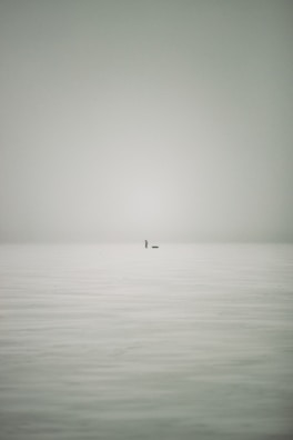 An immersive still of a shadowy figure standing before a vast, glowing horizon.