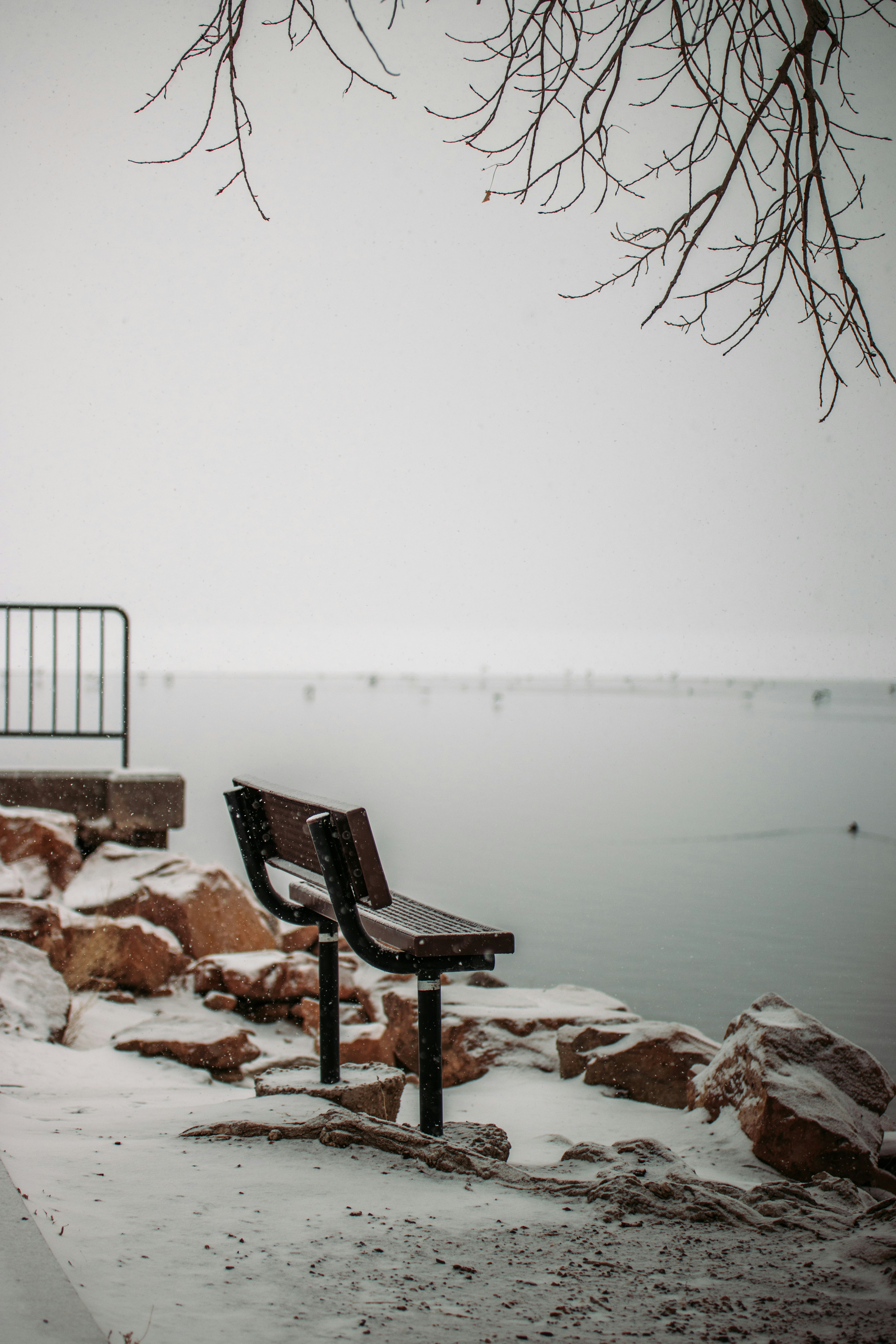 Photo by jakobnoahrosen