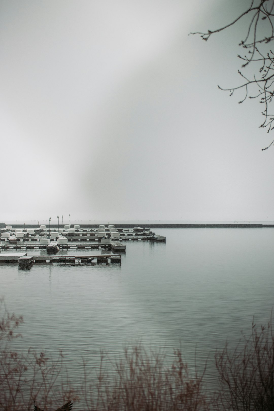 white and black boat on body of water during daytime