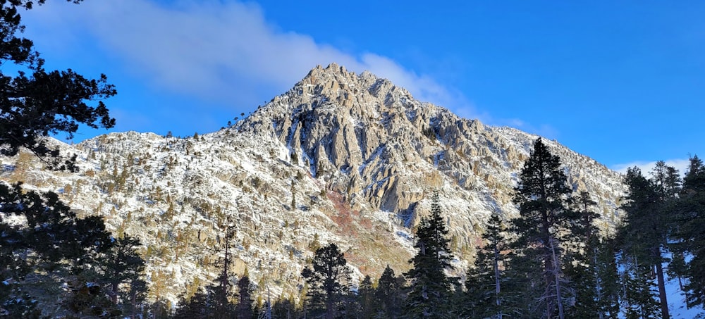 green trees near mountain under blue sky during daytime