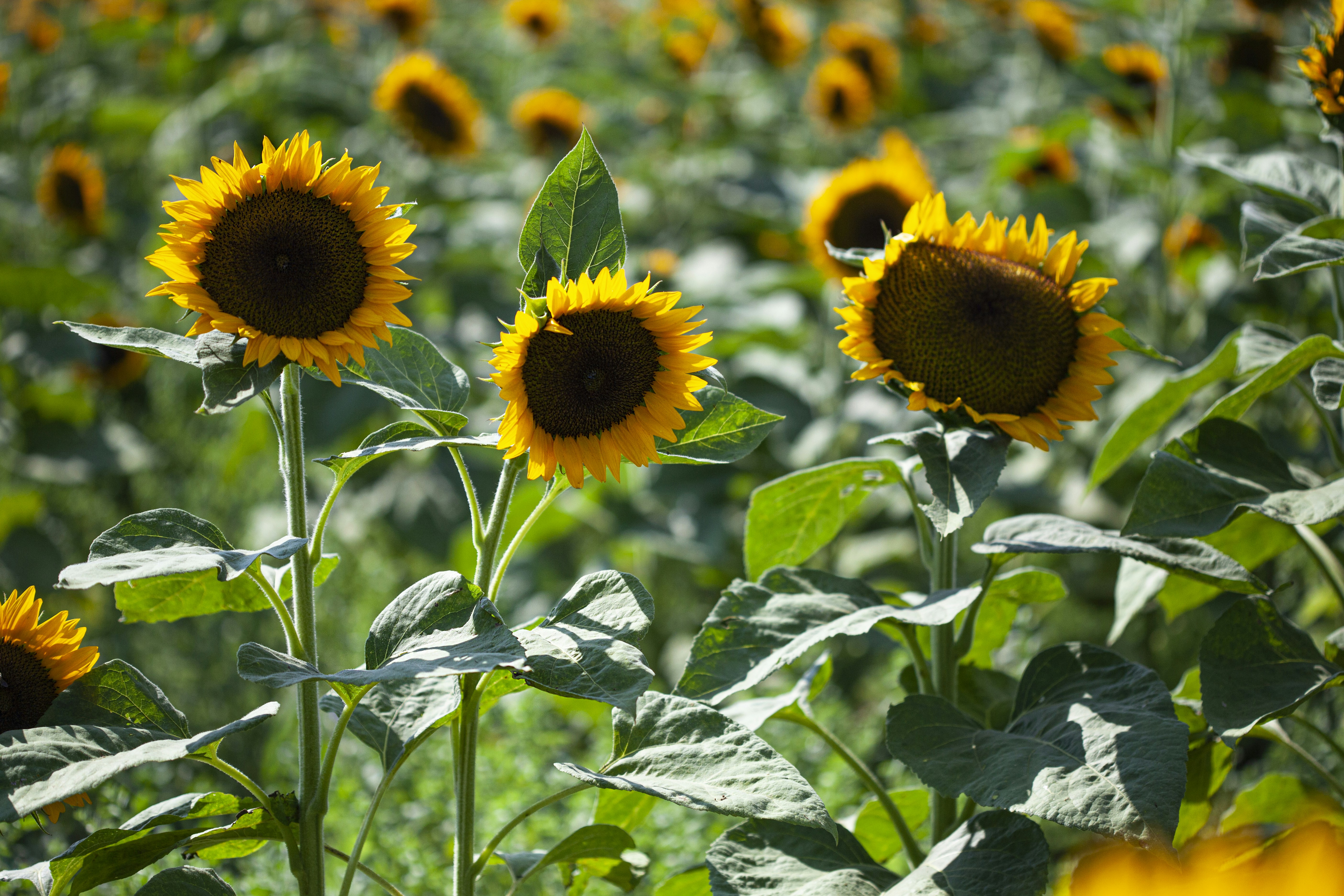 Photo by tamarushphotos