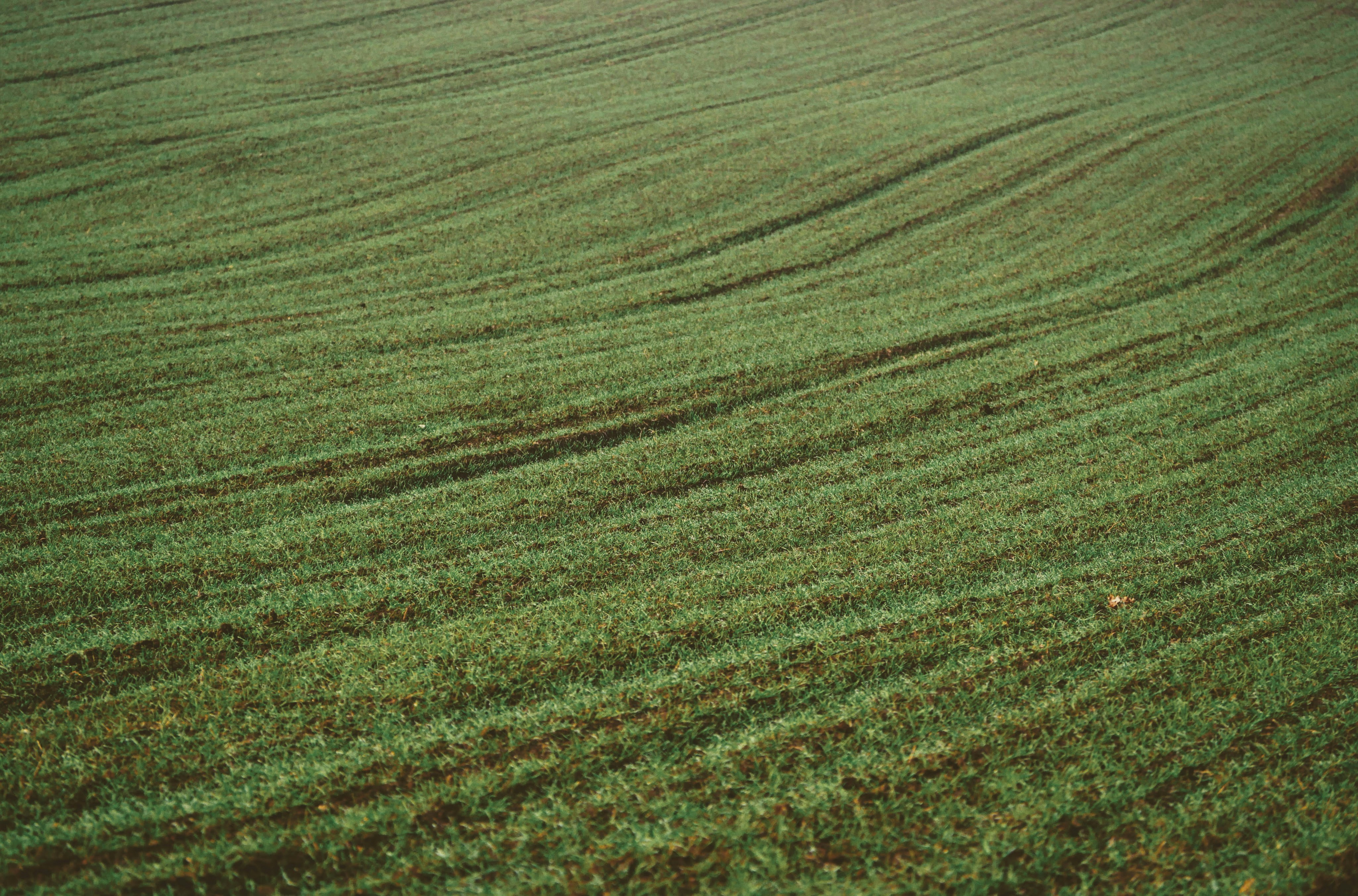 Photo by pino_rumbero