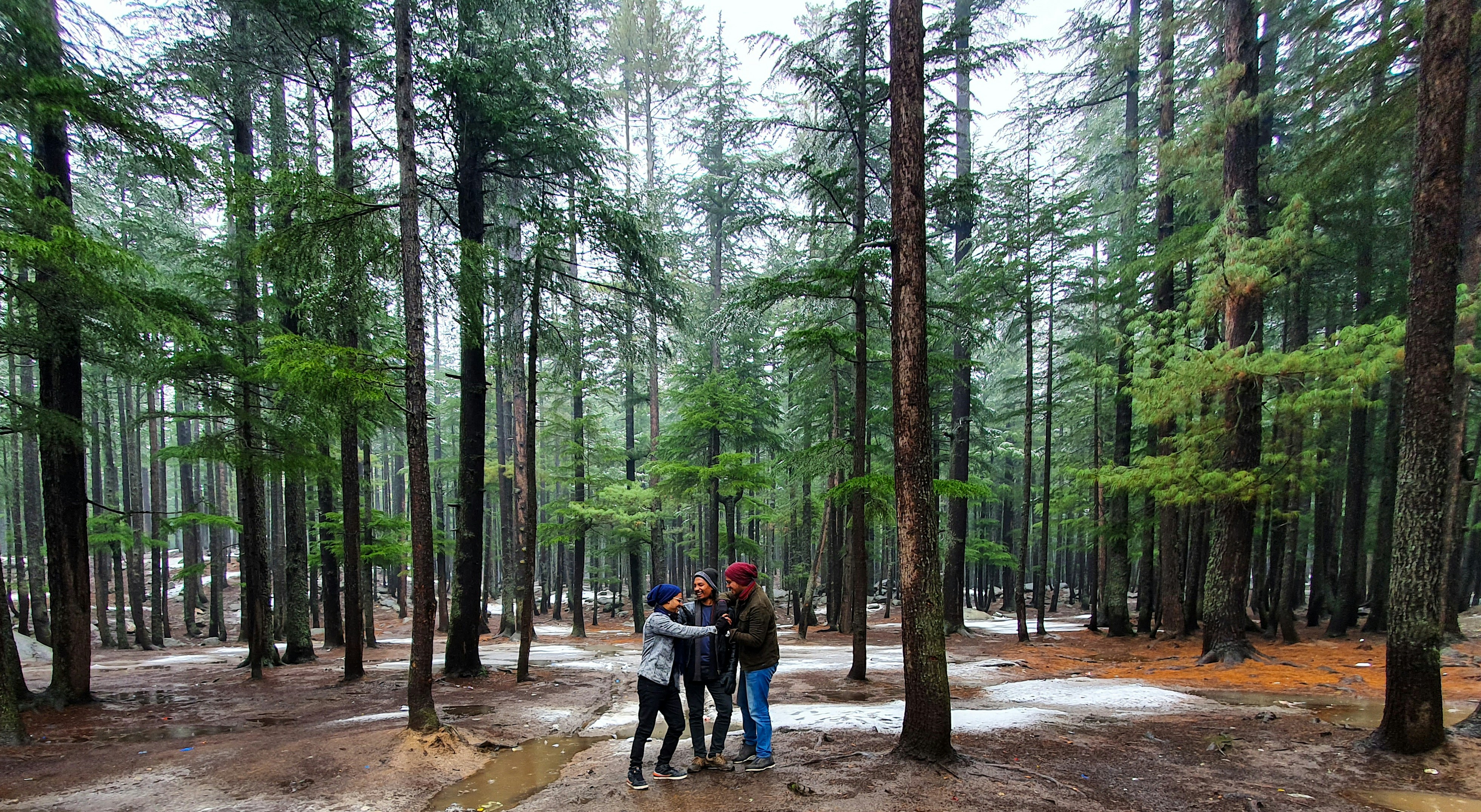 people walking on dirt road surrounded by trees during daytime