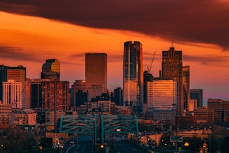 city skyline during night time