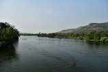 A serene river view surrounded by lush greenery.