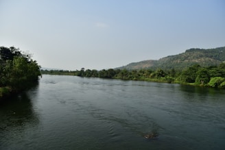A serene natural landscape with a calm river flowing through lush greenery.