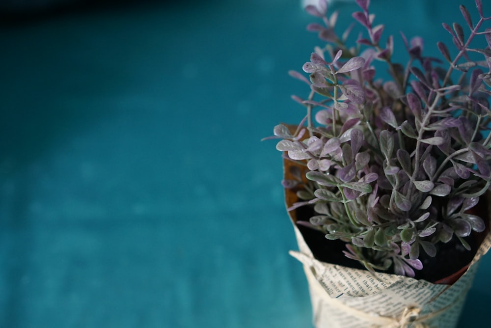 purple flowers in white basket