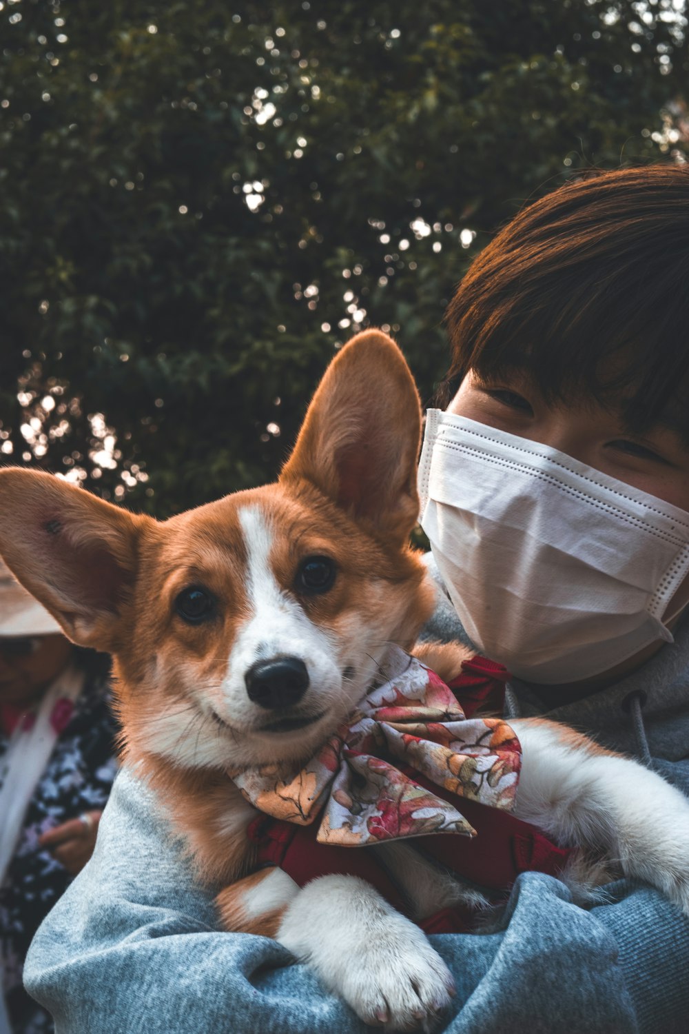 woman in gray jacket carrying brown and white dog