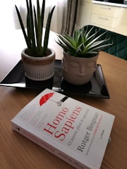 A book titled 'Homo Sapiens' by Rutger Bregman rests on a wooden table next to a black tray holding two potted plants. The plants have distinct green leaves, with one pot designed to resemble a human face.