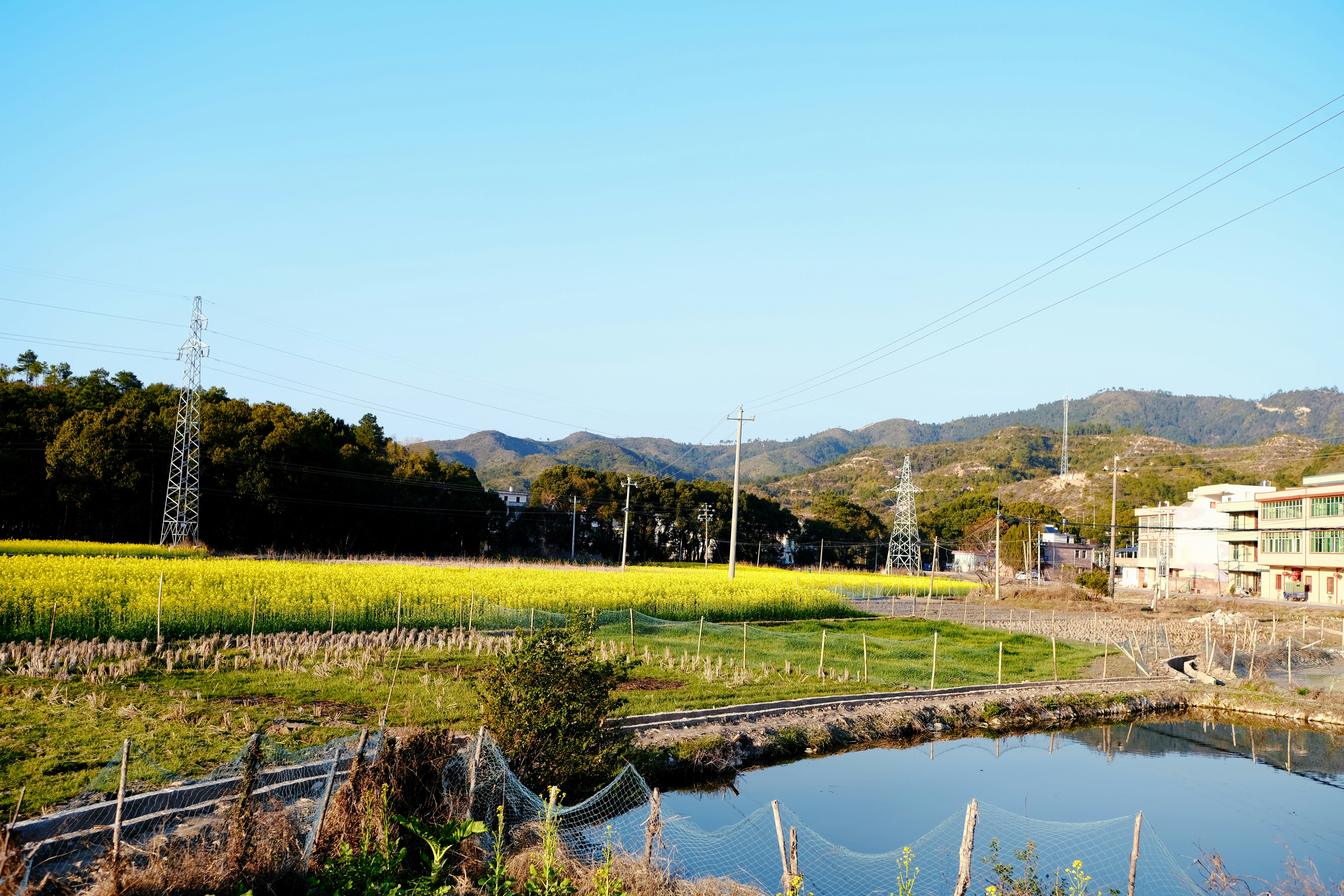 green grass field near body of water during daytime