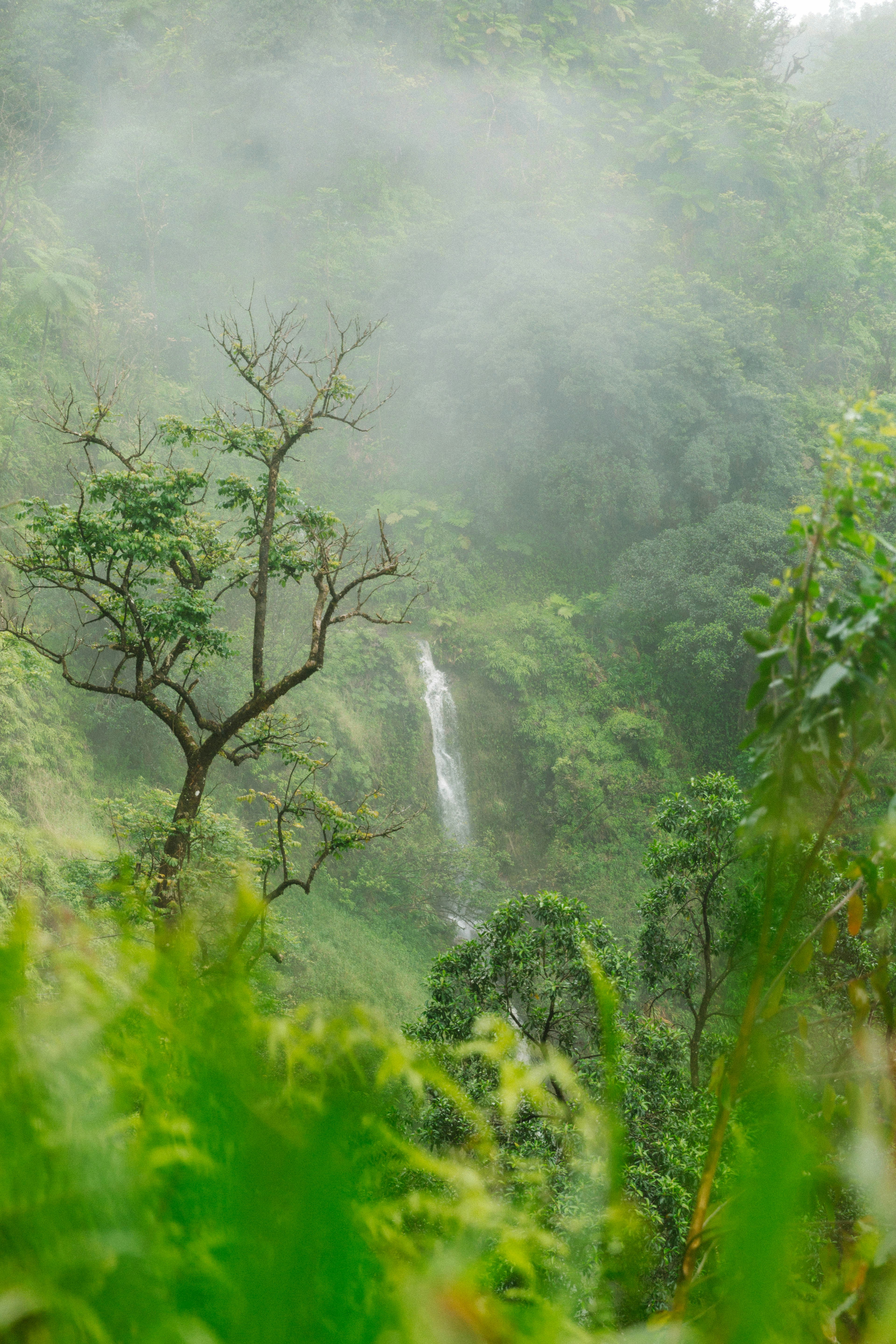 Photo by jordanfmcqueen