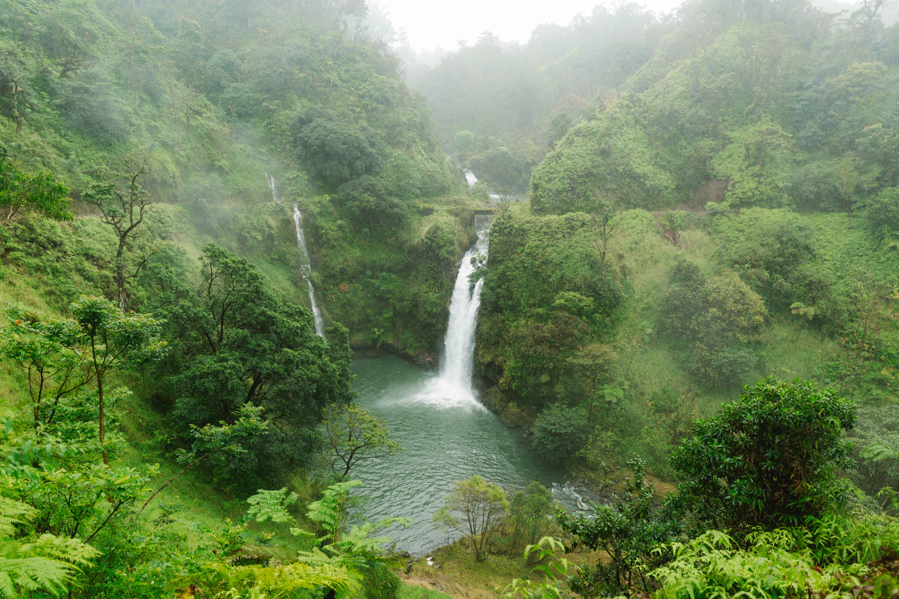 A stream running through the rainforest beside the Hana Highway