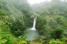 A lush, green landscape with a waterfall cascading into a small pool. The surrounding area is dense with foliage and trees, creating a serene, natural atmosphere. Mist hangs in the air, adding to the sense of tranquility.