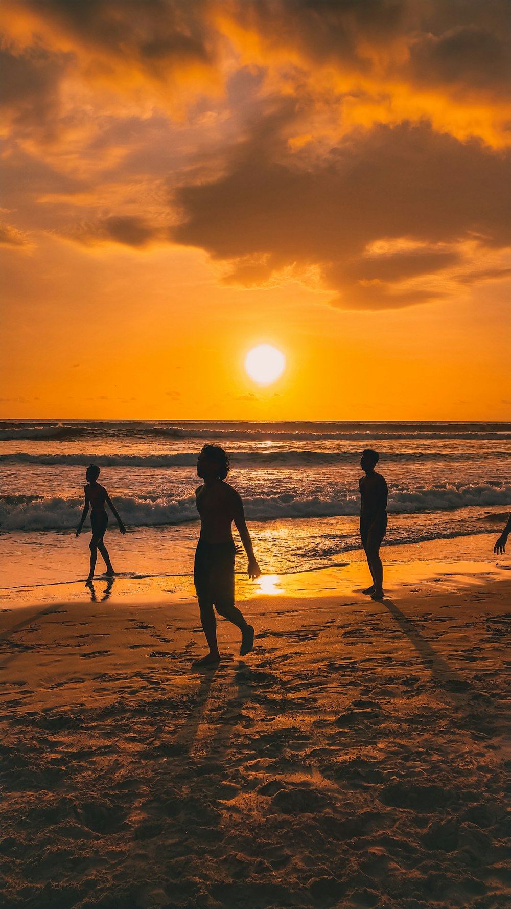 silhouette of 2 people standing on beach during sunset