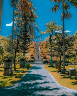 A landscaped garden with a long, straight path leading to a grand staircase surrounded by manicured hedges and several tall palm trees. In the background, a decorative structure stands at the top of the stairs. The sky is clear and bright blue.