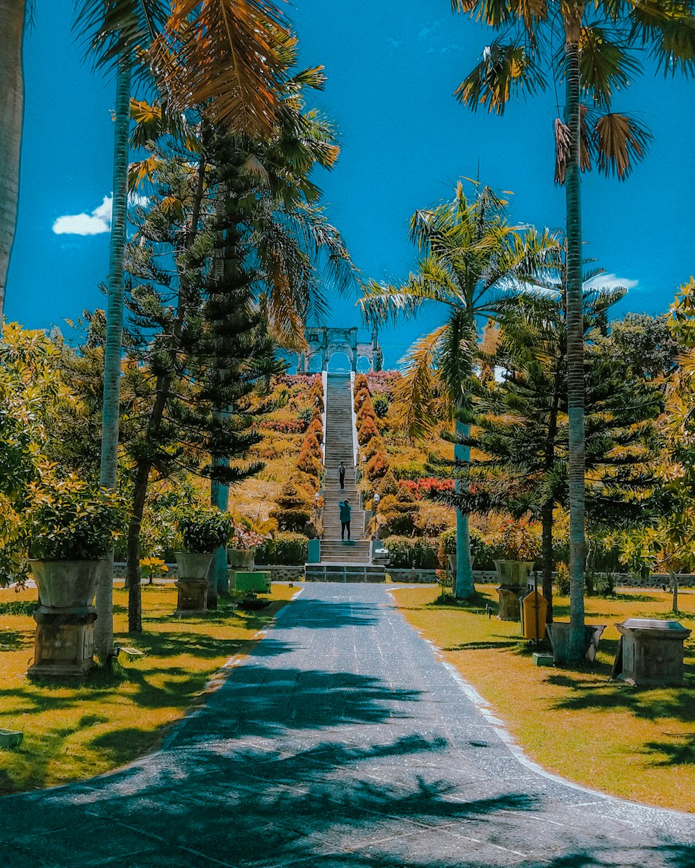 gray concrete pathway between green trees during daytime