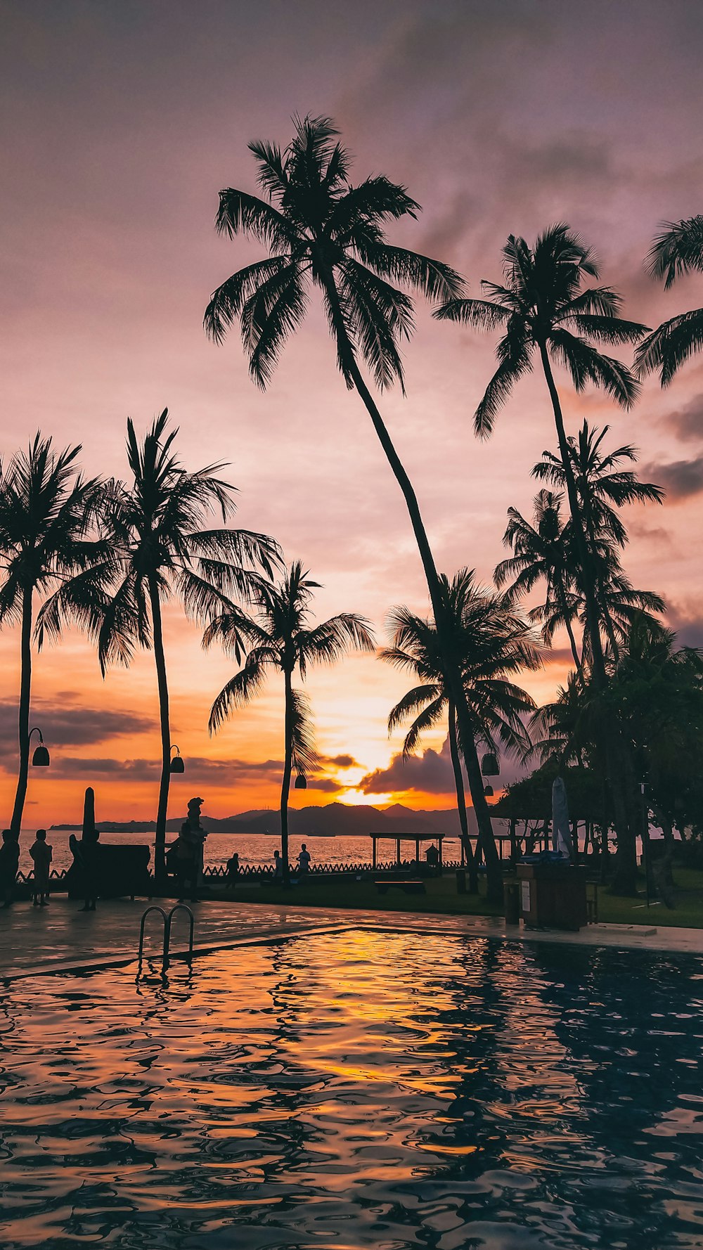 Silueta de palmeras cerca del cuerpo de agua durante la puesta del sol