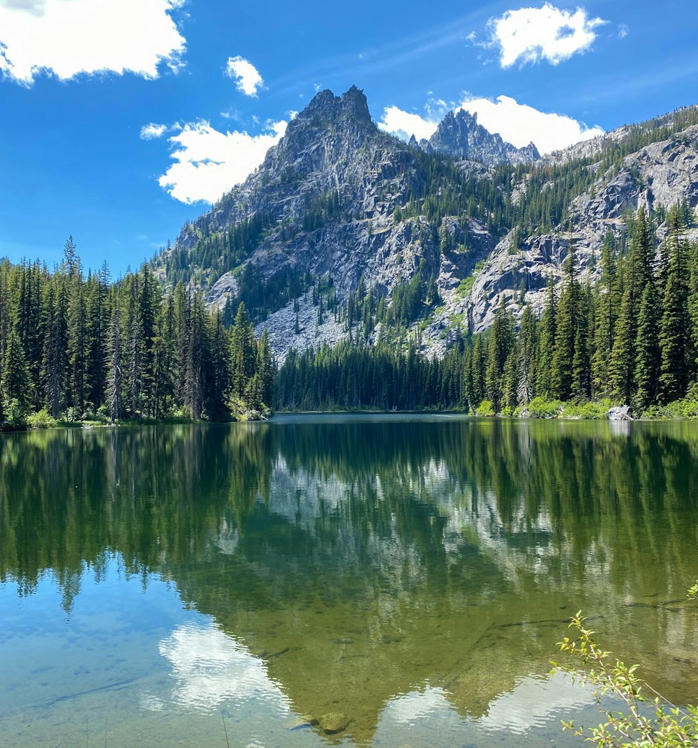 green pine trees near lake and mountain under blue sky during daytime