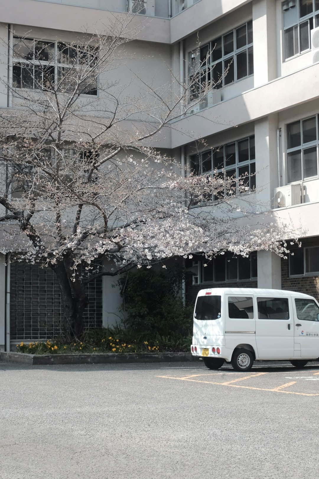white van parked near white concrete building during daytime