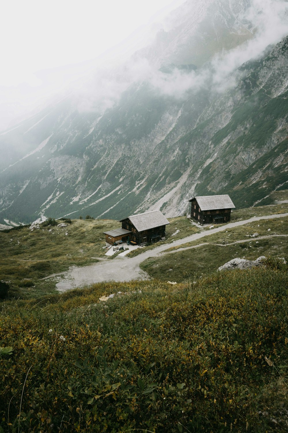 a couple of houses sitting on top of a lush green hillside