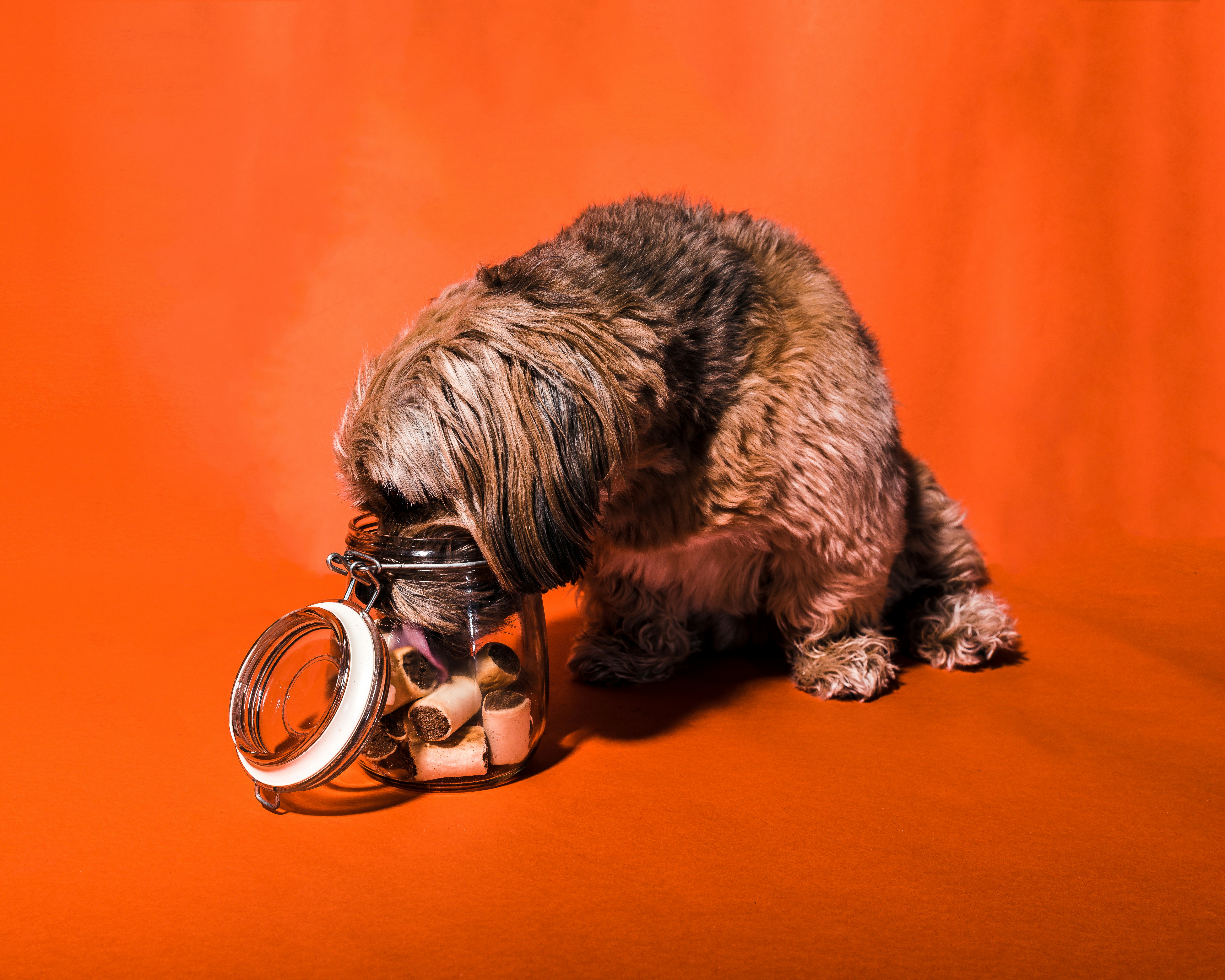 Swallowing Ease and Meal Positioning