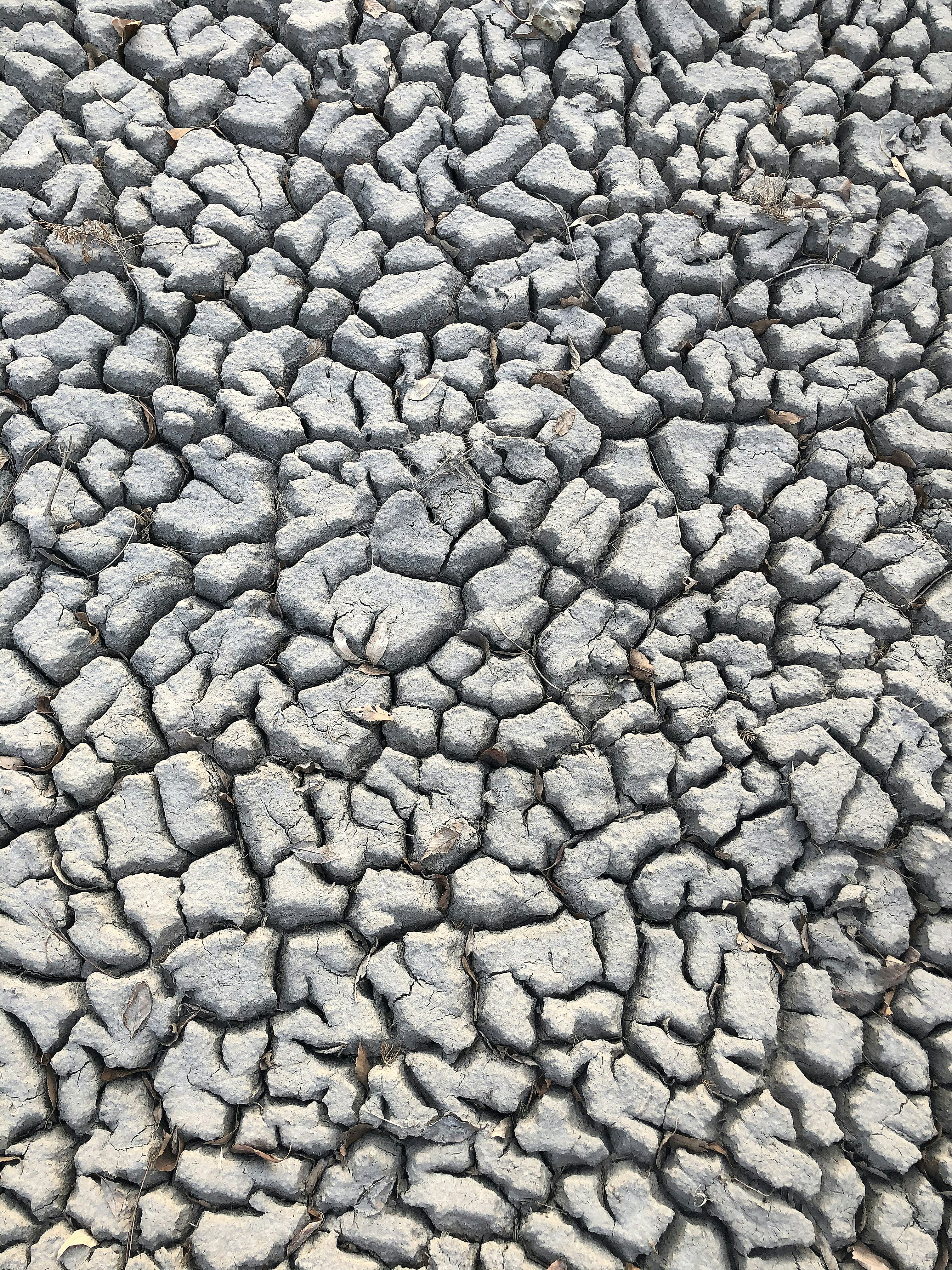 Photo by dynamicwang