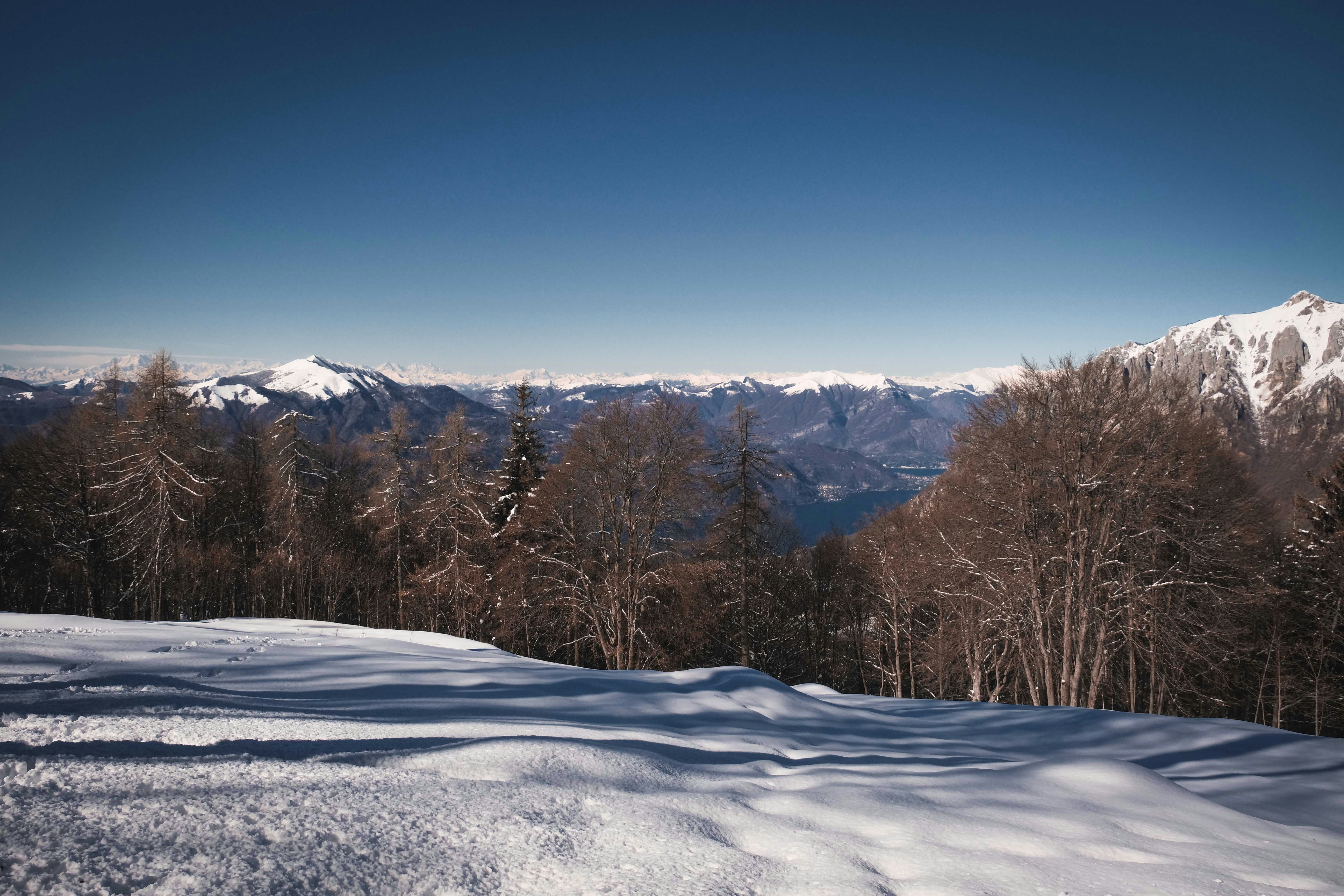 Photo by francesco_ungaro