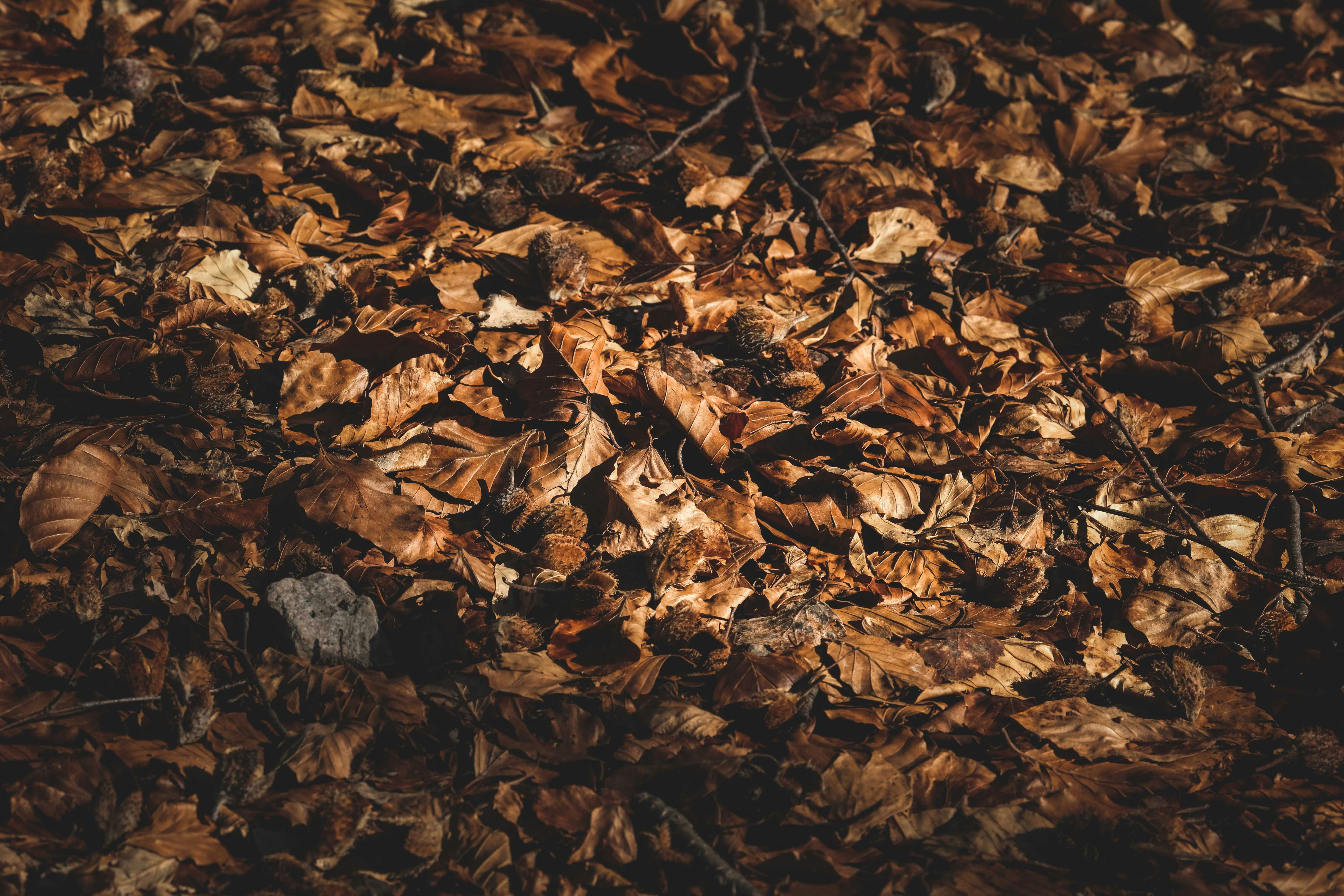 Photo by francesco_ungaro