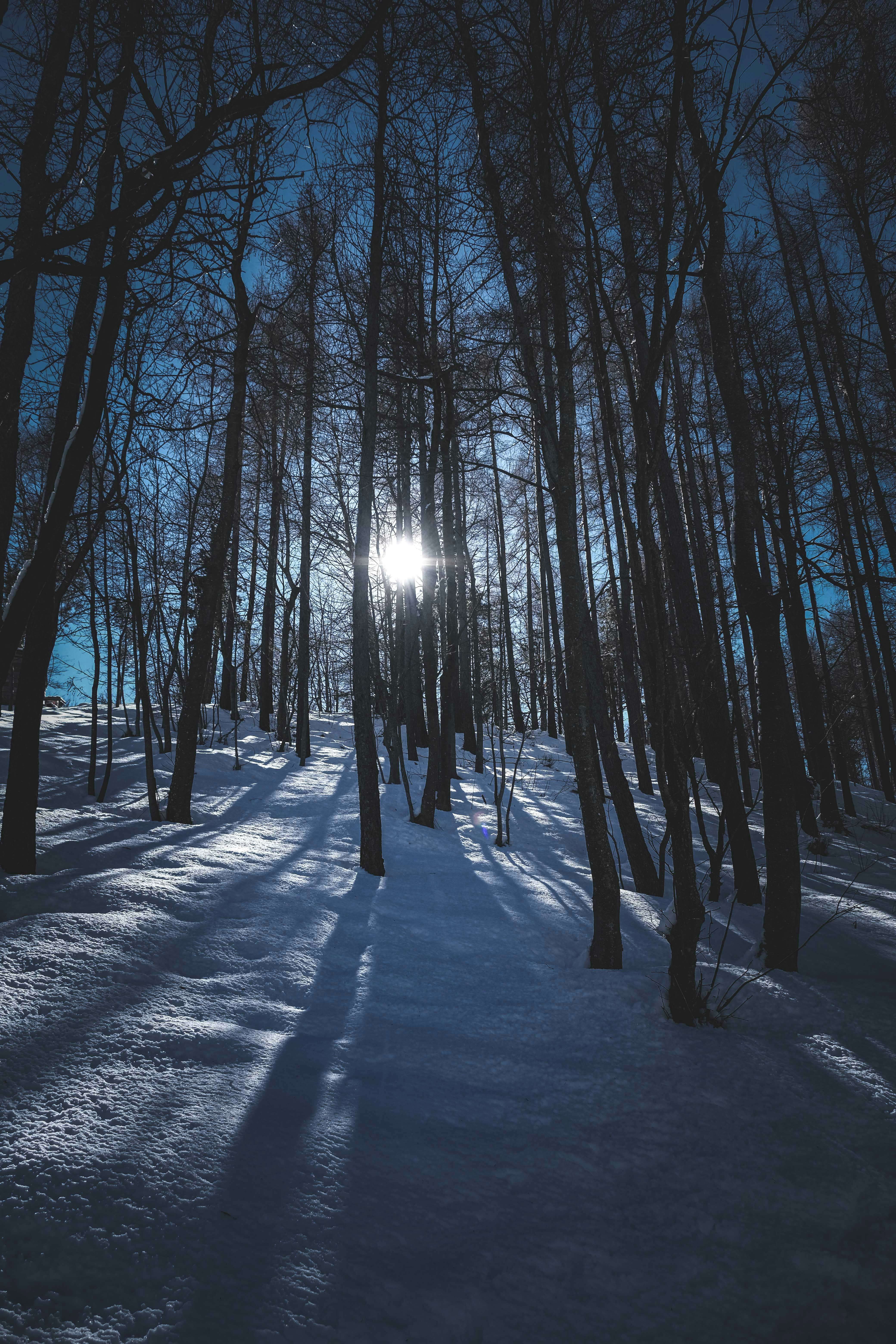 Photo by francesco_ungaro