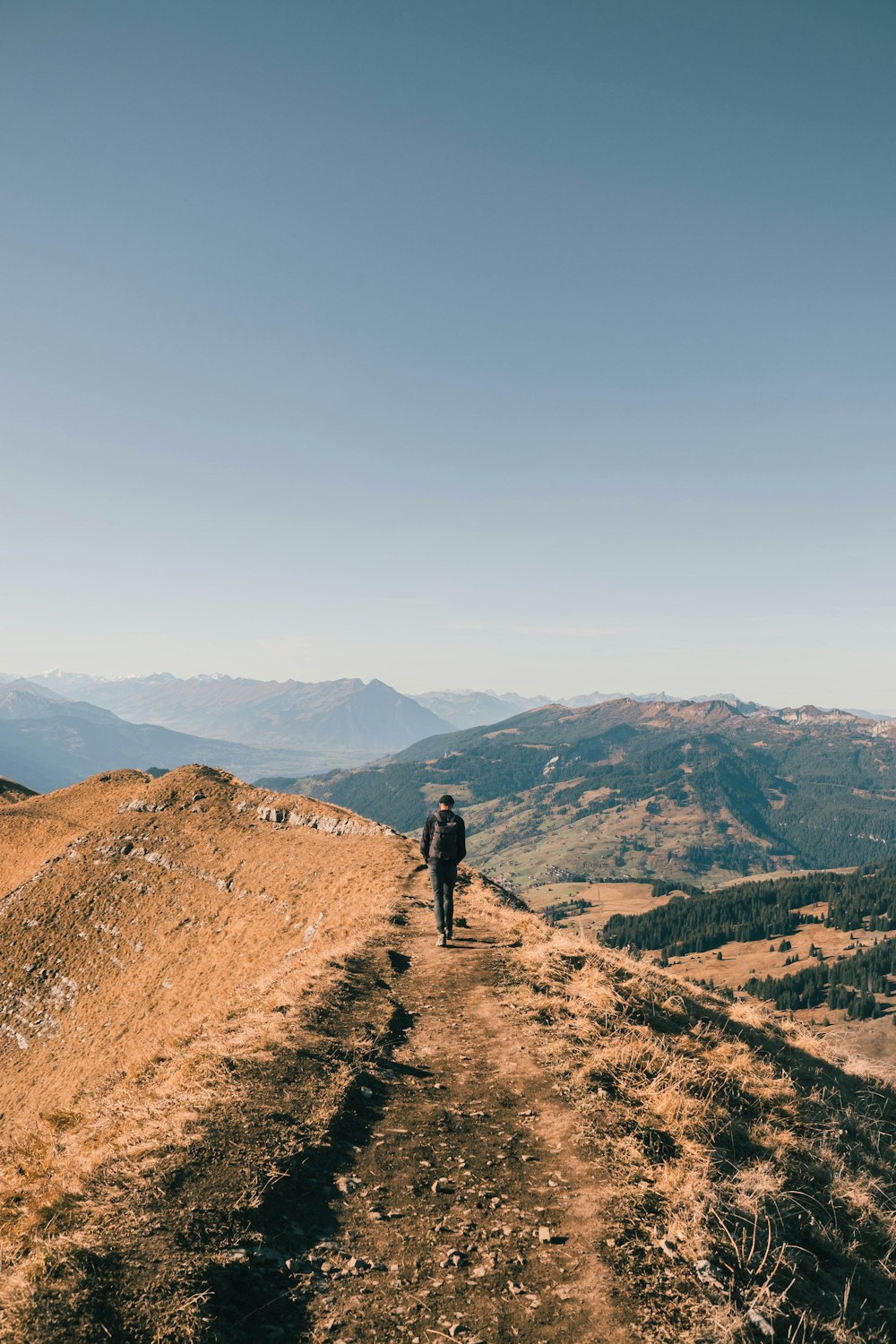 person standing on brown rock mountain during daytime