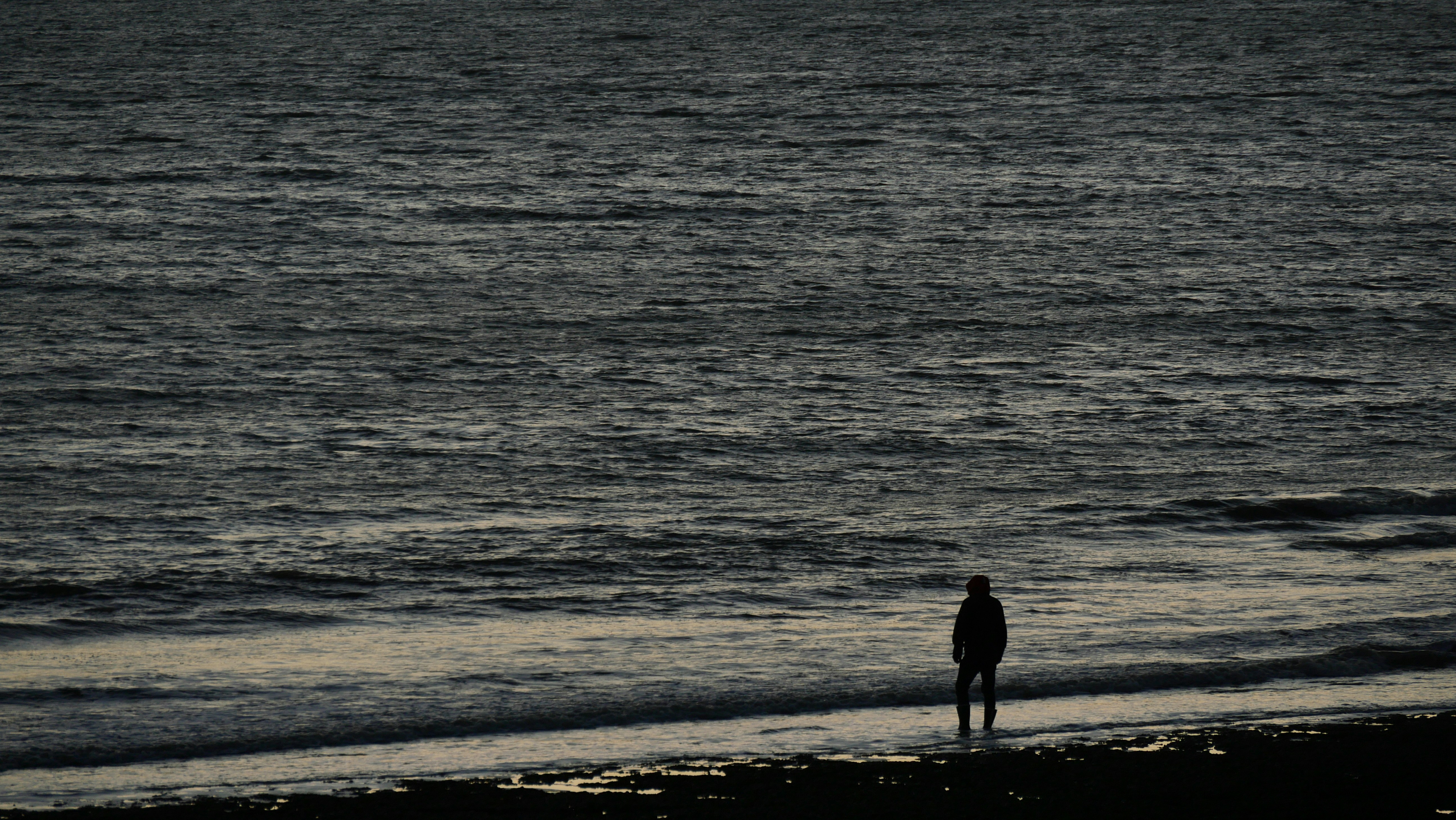 Photo by nimbus_vulpis