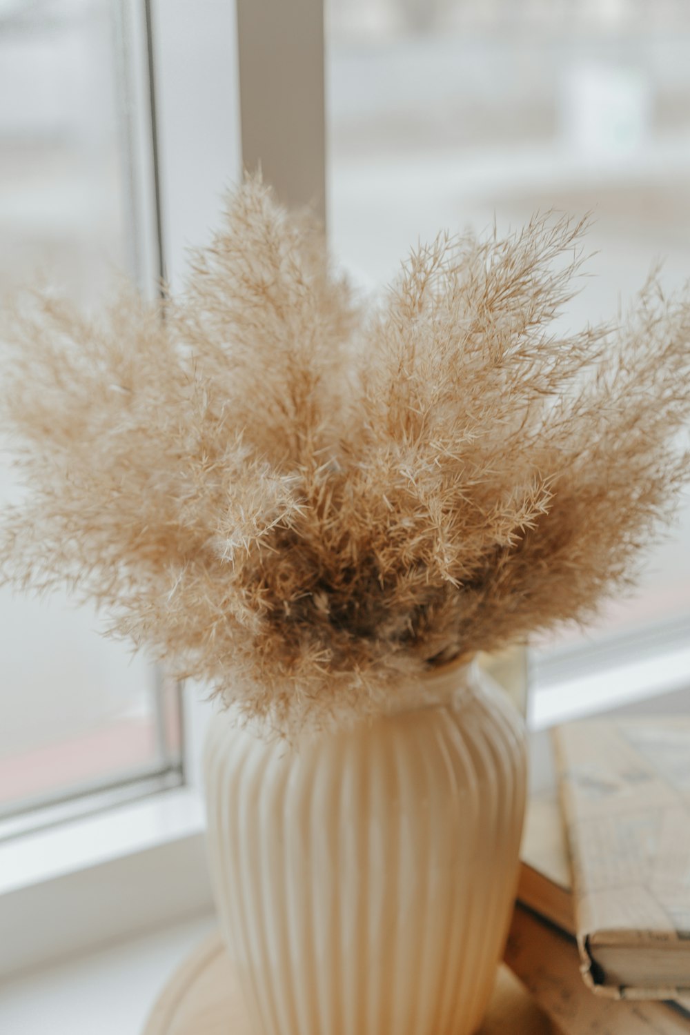 white fur ball on white ceramic vase