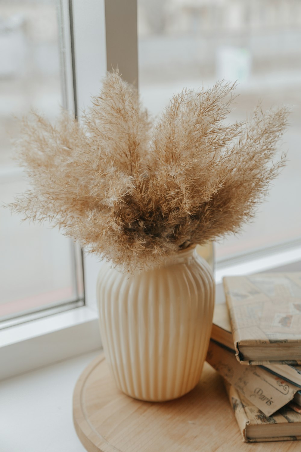 white ceramic vase with brown plant