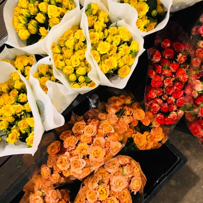 Multiple bouquets of flowers are arranged on a surface. The bouquets contain vibrant yellow, orange, and red roses, each surrounded by white or clear wrapping paper. The flowers are compactly arranged, highlighting their bright and rich colors, creating a striking visual display.