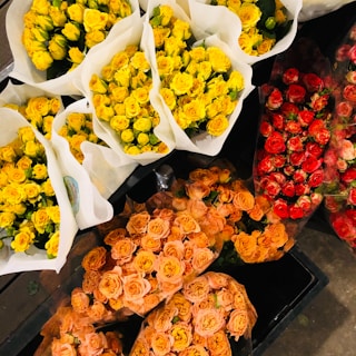 Multiple bouquets of flowers are arranged on a surface. The bouquets contain vibrant yellow, orange, and red roses, each surrounded by white or clear wrapping paper. The flowers are compactly arranged, highlighting their bright and rich colors, creating a striking visual display.