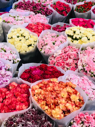 assorted food on white ceramic bowls