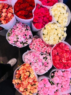 Multiple bouquets of vibrant flowers in various colors are arranged closely together. The flowers include shades of red, pink, white, and peach. They appear fresh and are gathered in translucent paper wrappers.
