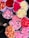 Multiple bouquets of vibrant flowers in various colors are arranged closely together. The flowers include shades of red, pink, white, and peach. They appear fresh and are gathered in translucent paper wrappers.