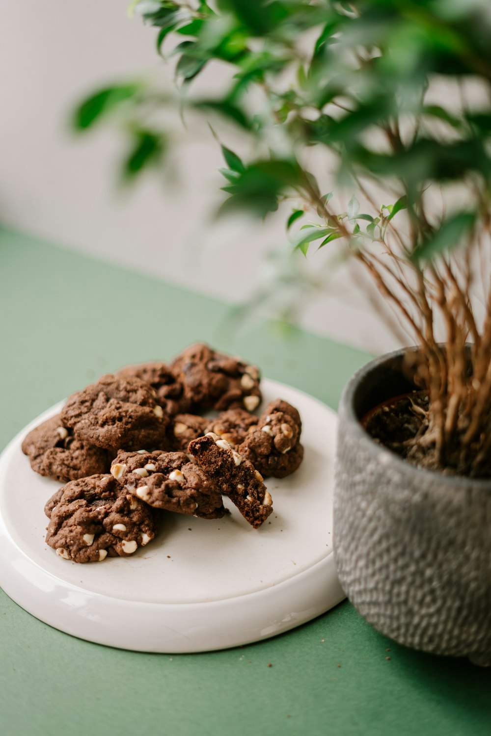 brown cookies on white ceramic plate